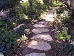 A path in the middle of a garden