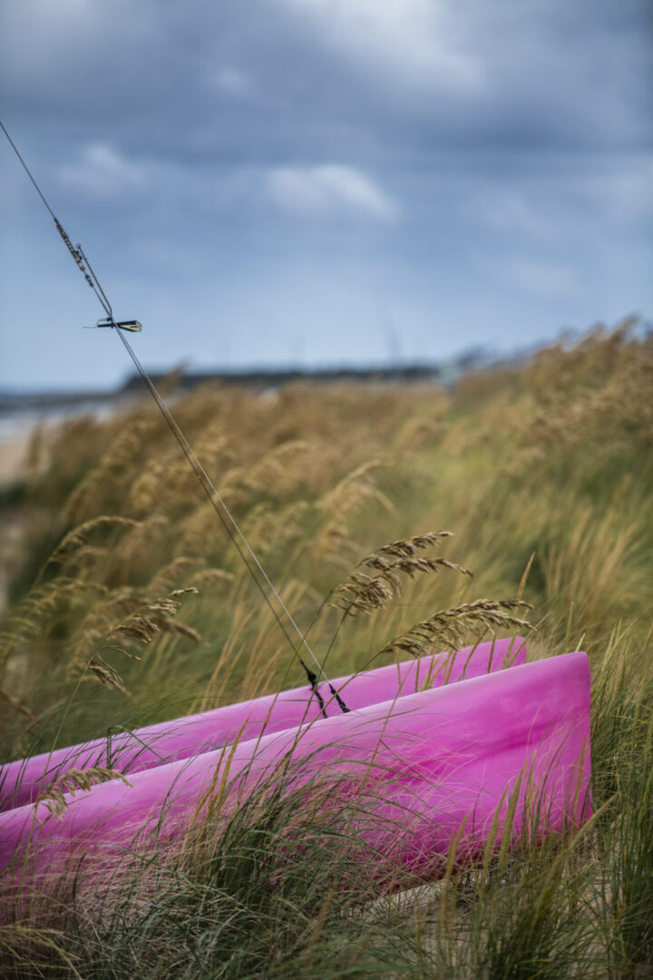 A pink box sitting in the grass near some water.